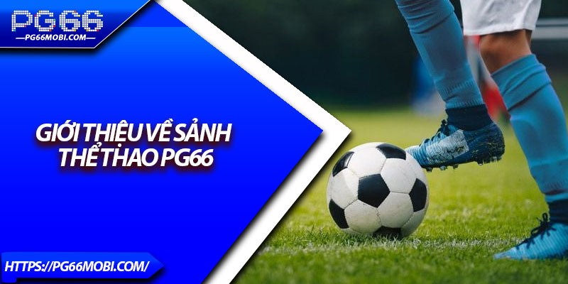 Thể Thao PG66 – Sân Chơi Cá Cược Uy Tín Với Tỷ Lệ Cực Sốc 2 Giới thiệu về sảnh thể thao pg66